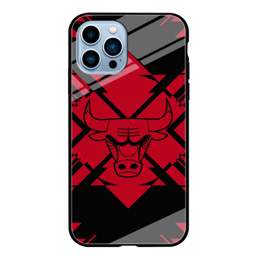 Chicago Bulls Aesthetic Shapes iPhone 15 Pro Case