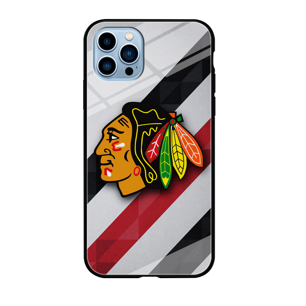 Chicago Blackhawks NHL Team iPhone 12 Pro Max Case