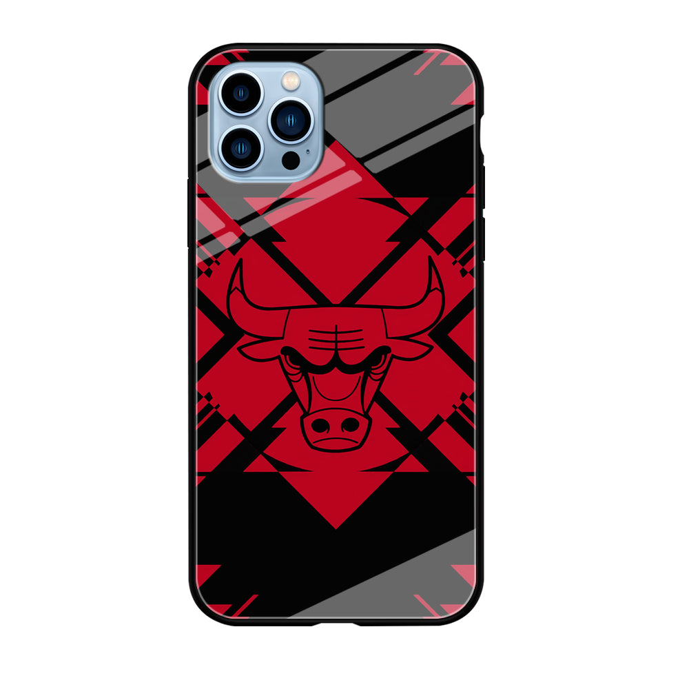 Chicago Bulls Aesthetic Shapes iPhone 12 Pro Max Case