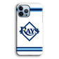 Tampa Bay Rays MLB Team iPhone 14 Pro Max Case