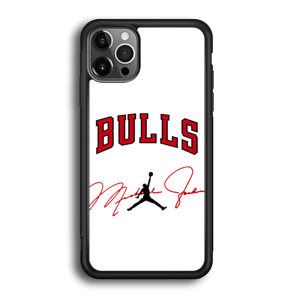 Air Jordan Chicago Bulls Signature iPhone 12 Pro Max Case