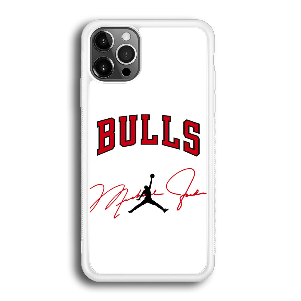 Air Jordan Chicago Bulls Signature iPhone 12 Pro Max Case