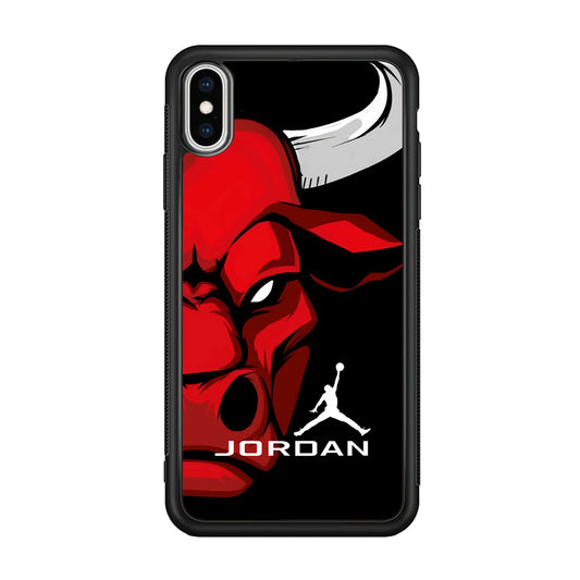 Air Jordan Icon Of Chicago Bulls iPhone X Case