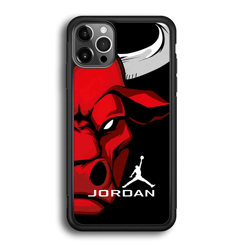 Air Jordan Icon Of Chicago Bulls iPhone 12 Pro Max Case