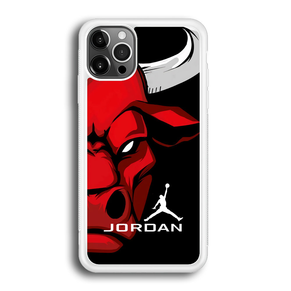 Air Jordan Icon Of Chicago Bulls iPhone 12 Pro Max Case