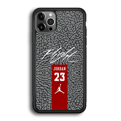 Air Jordan Take The Flight iPhone 12 Pro Max Case