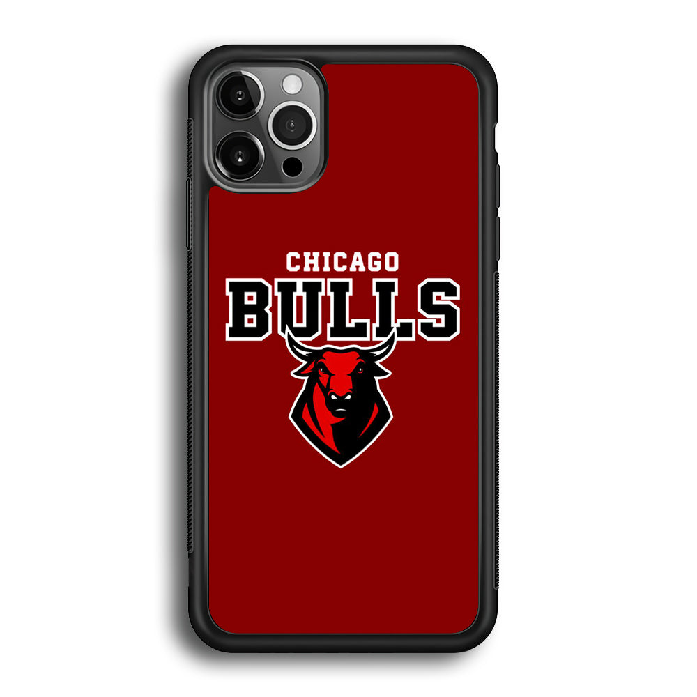 NBA Chicago Bulls Red Logo iPhone 12 Pro Max Case